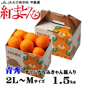 お歳暮 みかん 紅まどんな 青秀 2L～Mサイズ 1.5kg 6玉～10玉 愛媛県産 JAえひめ中央 中島選果場 ミカン 蜜柑 ギフト お取り寄せ