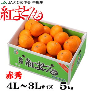 お歳暮 みかん 紅まどんな 赤秀 4L～3Lサイズ 5kg 愛媛県産 JAえひめ中央 中島選果場 ミカン 蜜柑 ギフト お取り寄せ