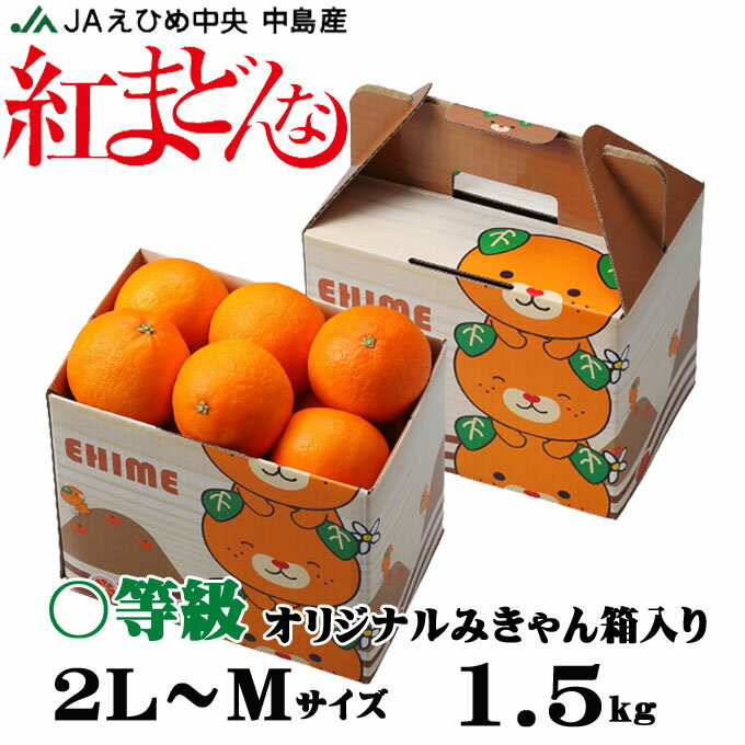 お歳暮 みかん 紅まどんな 〇等級 2L〜Mサイズ 1.5kg 6玉〜10玉 みきゃん箱入り 愛媛県産 JAえひめ中央 中島選果場 ミカン 蜜柑 ギフト お取り寄せ