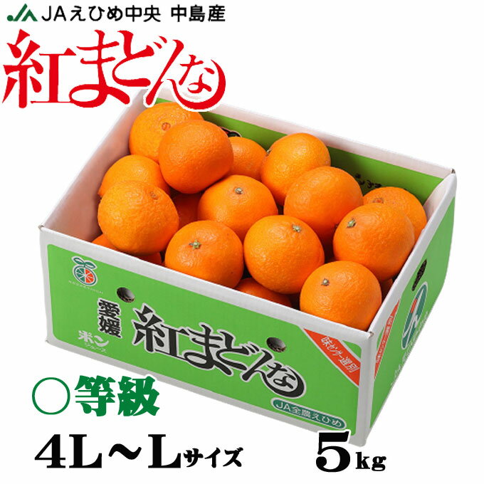 お歳暮 みかん 紅まどんな 〇等級 4L～Lサイズ 5kg 愛媛県産 JAえひめ中央 中島選果場 ミカン 蜜柑 ギフト お取り寄せ