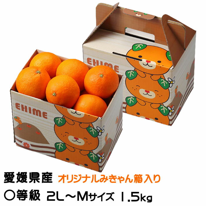 お歳暮 みかん 紅まどんな 〇等級 2L〜Mサイズ 1.5kg 6玉〜10玉 みきゃん箱入 愛媛県産 JAえひめ中央 中島選果場 ミカン 蜜柑 ギフト お取り寄せ