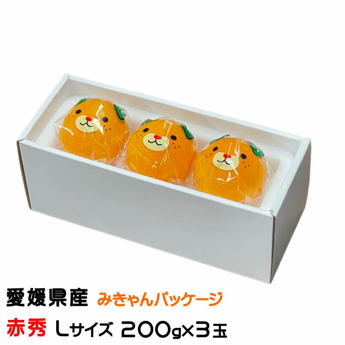 お歳暮 みかん 紅まどんな みきゃんパッケージ 赤秀 Lサイズ 200g×3玉 愛媛県産 ミカン 蜜柑 ギフト お取り寄せのサムネイル