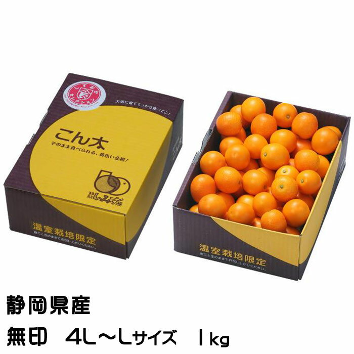完熟きんかん こん太 無印 4L〜Lサイズ 1kg 静岡県産 JAしみず キンカン きんかん 金柑のサムネイル