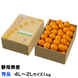 完熟きんかん コンターレ 秀品 4L～2Lサイズ 1kg こん太 静岡県産 JAしみず キンカン きんかん 金柑