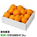 みかん デコポン 産地厳選 風のいたずら ちょっと訳あり 大きさおまかせ 5kg でこぽん お取り寄せグルメ ギフト