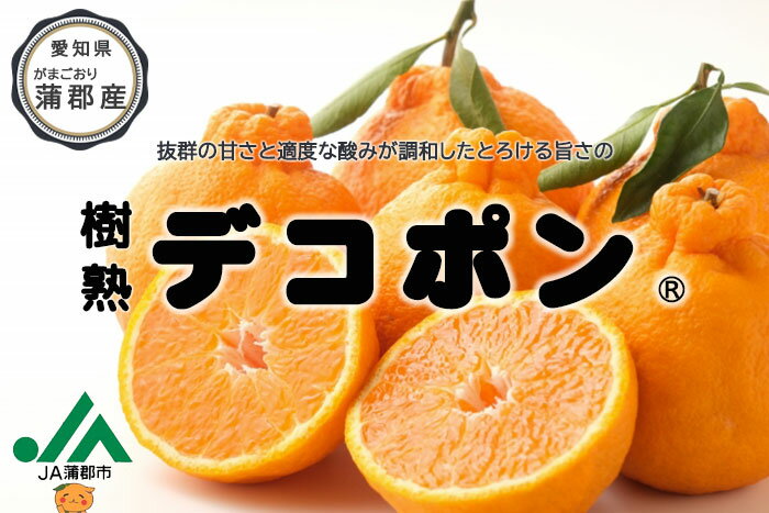 みかん 蒲郡樹熟デコポン 赤秀 7〜15玉 3kg 化粧箱入り 愛知県産 みかん ミカン 蜜柑 ギフト