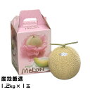 メロン アールスメロン 1.2kg×1玉 産地厳選 ギフト