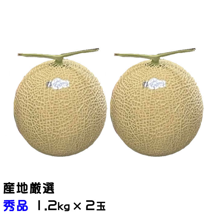 楽天市場】アールスメロン 2玉の通販