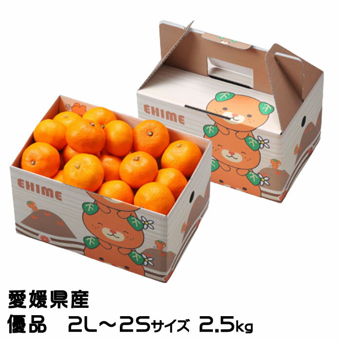 お歳暮 みかん 愛媛みかん 優品 2L〜2Sサイズ 2.5kg みきゃん箱入り 愛媛県産 ミカン 蜜柑 ギフト(4)
