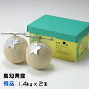 お中元 メロン エメラルドメロン 秀品 1.4kg×2玉 高知県産 夜須 めろん お取り寄せグルメ ギフト お取り寄せ