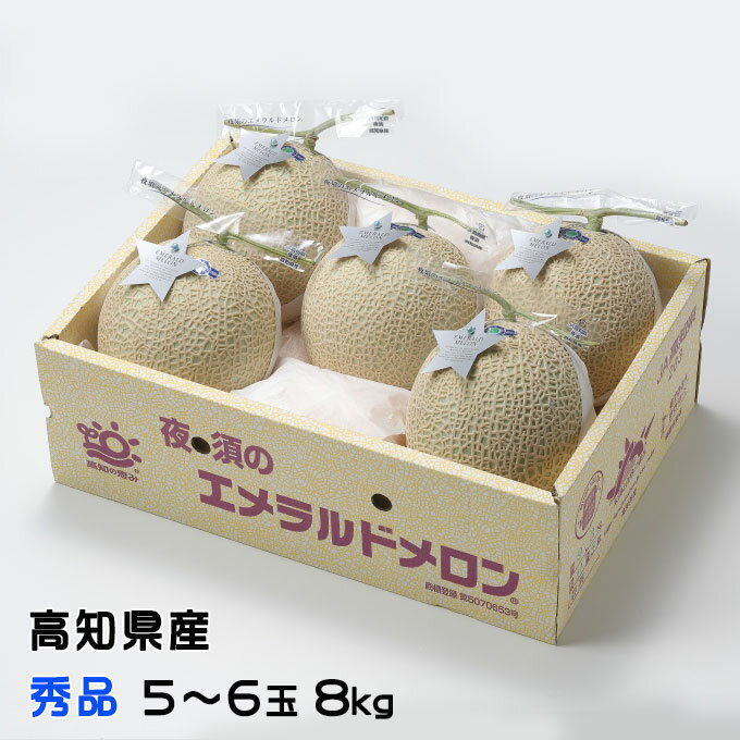 メロン エメラルドメロン 秀品 5〜6玉 8kg 高知県産 夜須 めろん お取り寄せグルメ ギフト お取り寄せ お中元 父の日