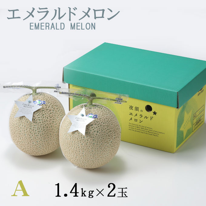 メロン エメラルドメロン A等級 1.4kg×2玉 高知県産 夜須 めろん お取り寄せグルメ ギフト お取り寄せ