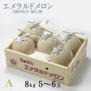 メロン エメラルドメロン A等級 5〜6玉 8kg 高知県産 夜須 めろん お取り寄せグルメ ギフト お取り寄せ