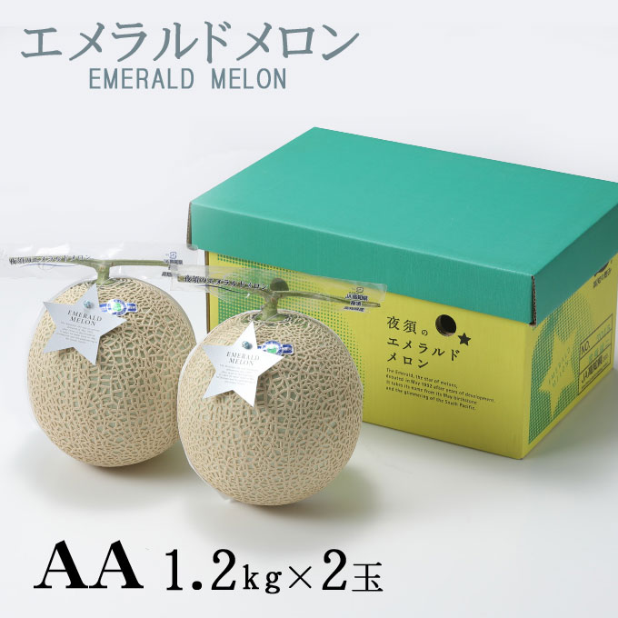 メロン エメラルドメロン AA等級 1.2kg 2玉 高知県産 夜須 めろん お取り寄せグルメ ギフト お取り寄せ