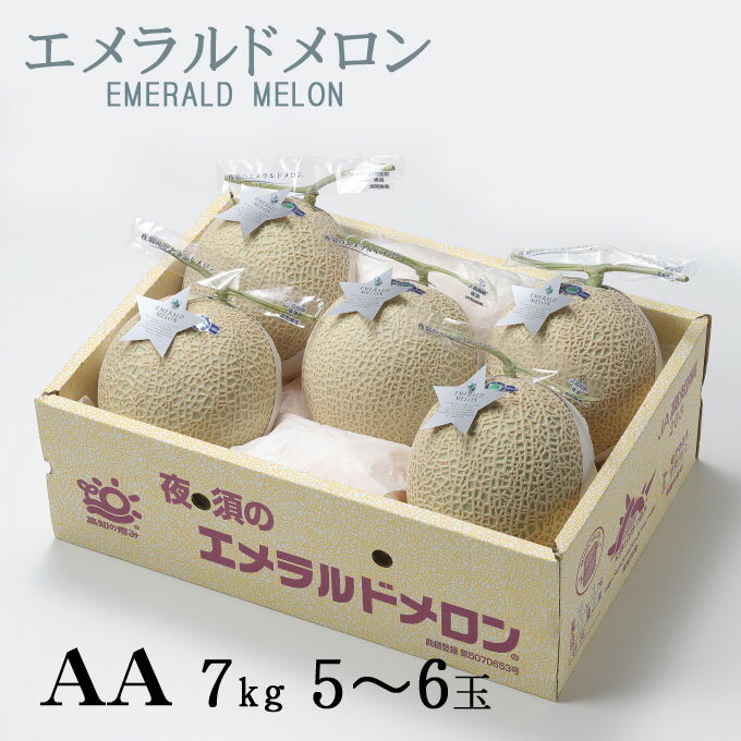 メロン エメラルドメロン AA等級 5～6玉 7kg 高知県産 夜須 めろん お取り寄せグルメ ギフト お取り寄せ