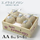 メロン エメラルドメロン AA等級 5〜6玉 8kg 高知県産 夜須 めろん お取り寄せグルメ ギフト お取り寄せ