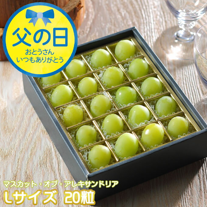 遅れてごめんね 父の日 2025 マスカット オブ アレキサンドリア ジュエルセレクション Lサイズ 20粒 岡山県産 葡萄 ギフト プレゼント