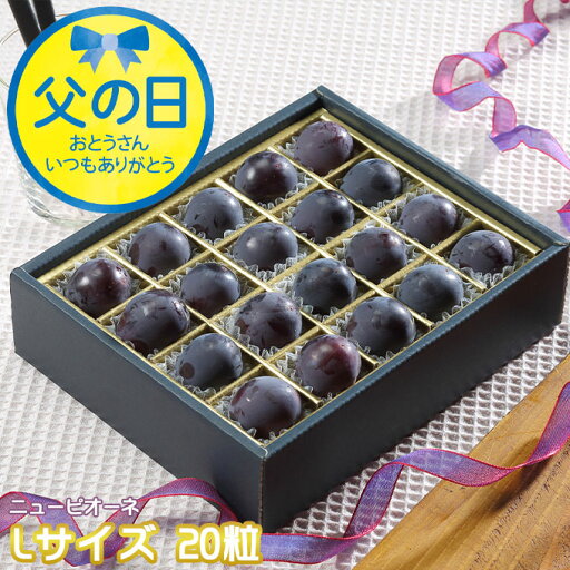父の日 2025 ニューピオーネ ジュエルセレクション 岡山県産 特秀 Lサイズ 20粒 葡萄 ぶどう ブドウ 夏ギフト 父の日 2025 ニューピオーネ ジュエルセレクション 岡山県産 特秀 Lサイズ 20粒 葡萄 ぶどう ブドウ 夏ギフト