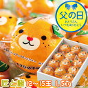 父の日 2025 完熟春みかん カラマンダリン みきゃんの中島だより 匠と極 12玉〜15玉 1.5kg 愛媛県産 JAえひめ中央 ミカン プレゼント(4)