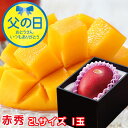 父の日 2025 みやざき完熟マンゴー 赤秀 2L× 1玉 マンゴー 宮崎県産 JA宮崎経済連 ギフト プレゼント