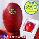 父の日 2025 太陽のタマゴ 太陽のたまご 青秀 2L×1玉 マンゴー 宮崎県産 JA宮崎経済連 ギフト プレゼント