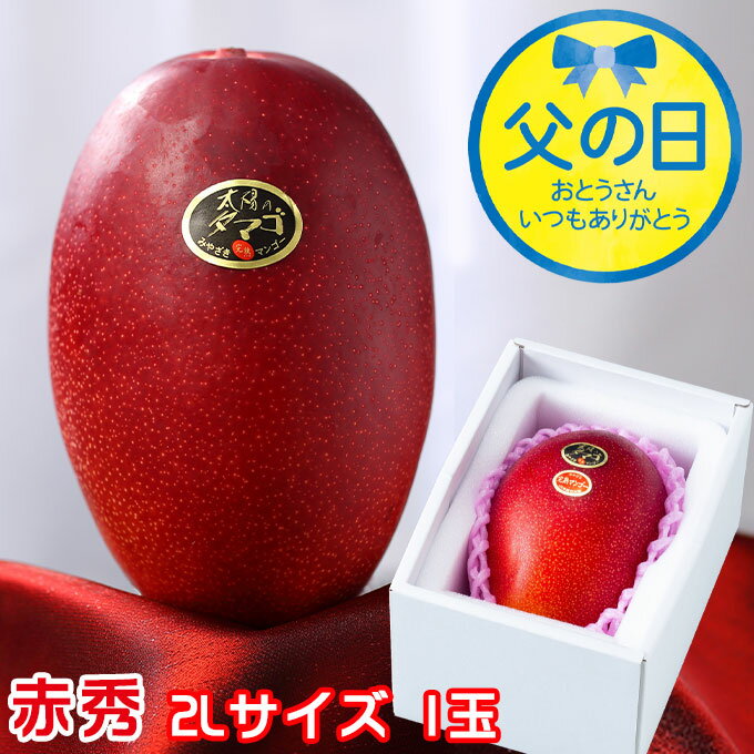 遅れてごめんね 父の日 2025 太陽のタマゴ 太陽のたまご 赤秀 2L×1玉 マンゴー 宮崎県産 JA宮崎経済連 ギフト プレゼント