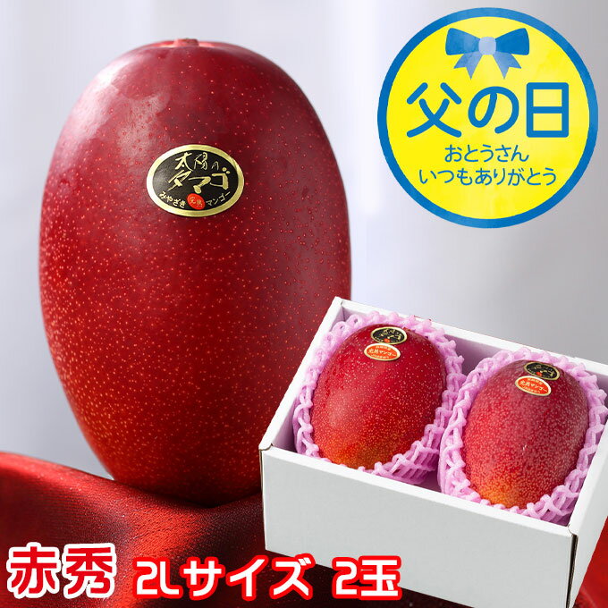 父の日 2025 太陽のタマゴ 太陽のたまご 赤秀 2L×2玉 マンゴー 宮崎県産 JA宮崎経済連 ギフト プレゼント