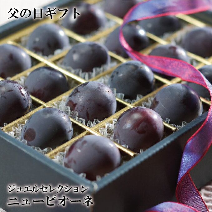 遅れてごめんね 父の日 2025 ニューピオーネ ジュエルセレクション 特秀 2Lサイズ 20粒 岡山県産 葡萄 ぶどう ブドウ ギフト プレゼント
