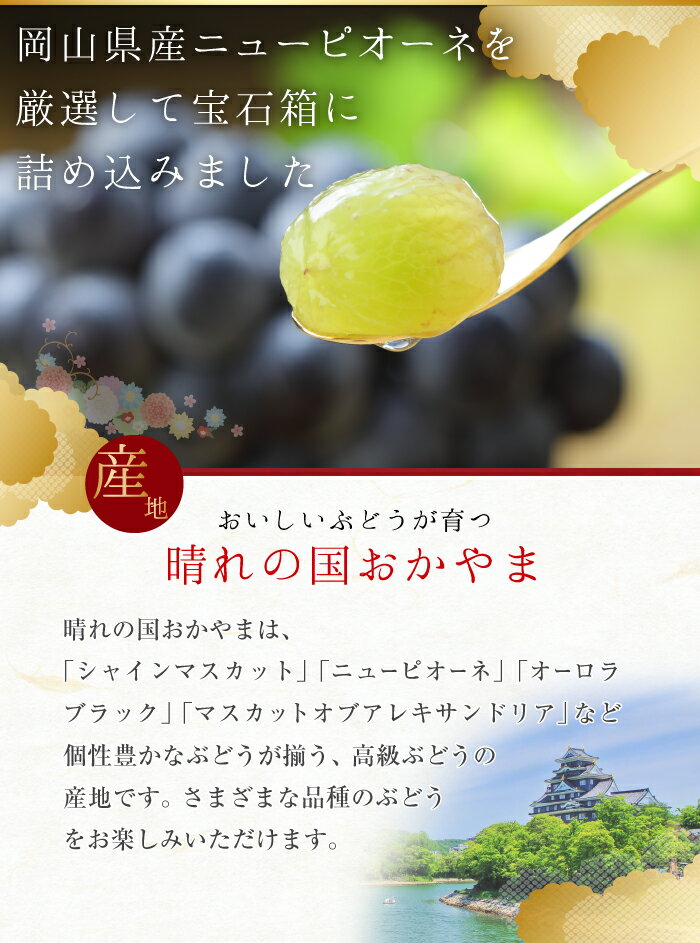 ニューピオーネ ジュエルセレクション 特秀 Lサイズ 20粒 岡山県産 葡萄 ブドウ お中元 父の日