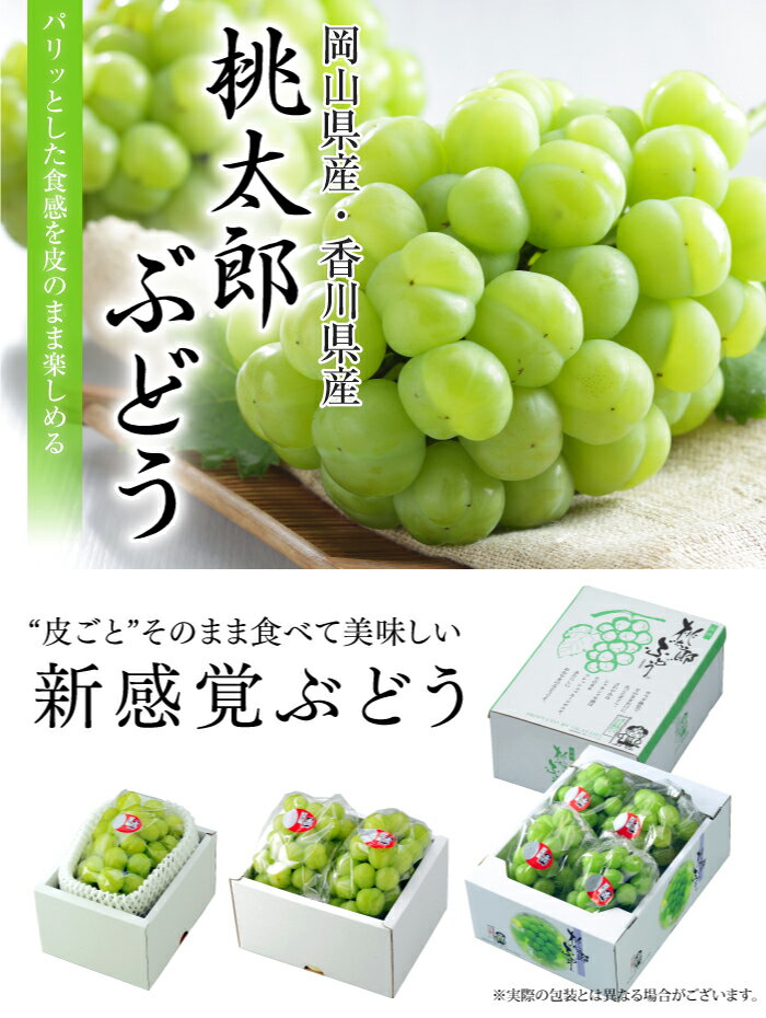 お中元 ぶどう 桃太郎ぶどう 青秀 900g x 1房 岡山県産 香川県産 葡萄 ブドウ