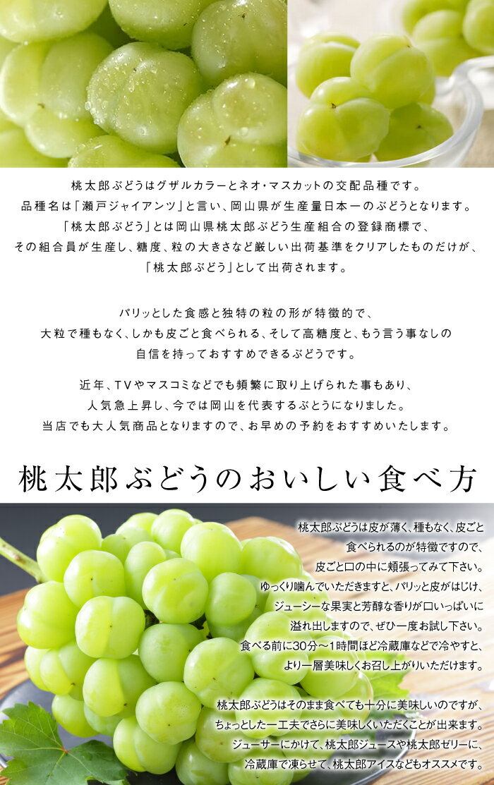 お中元 ぶどう 桃太郎ぶどう 青秀 900g x 1房 岡山県産 香川県産 葡萄 ブドウ
