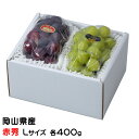 お中元 ぶどう 詰め合わせ 赤秀 Lサイズ ニューピオーネ 400g×1房 シャインマスカット晴王 400g×1房 岡山県産