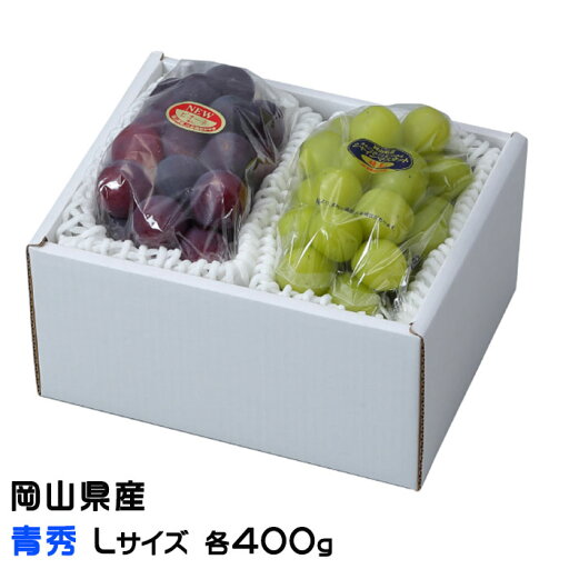 お中元 ぶどう 詰め合わせ 青秀 Lサイズ ニューピオーネ 400g×1房 シャインマスカット晴王 400g×1房 岡山県産 お中元 ぶどう 詰め合わせ 青秀 Lサイズ ニューピオーネ 400g×1房 シャインマスカット晴王 400g×1房 岡山県産