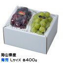 お中元 ぶどう 詰め合わせ 青秀 Lサイズ ニューピオーネ 400g×1房 シャインマスカット晴王 400g×1房 岡山県産