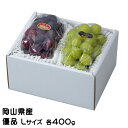 お中元 ぶどう 詰め合わせ 優品 Lサイズ ニューピオーネ 400g×1房 シャインマスカット晴王 400g×1房 岡山県産