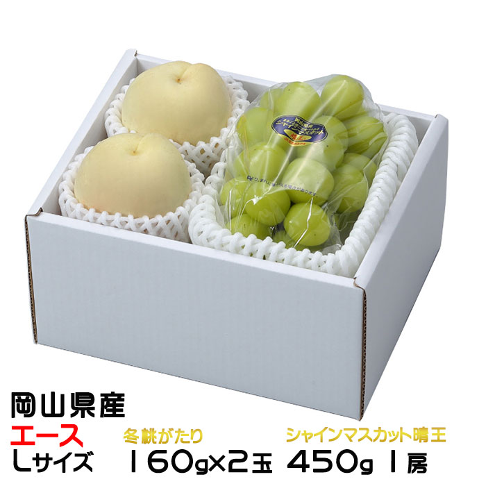 お歳暮 桃 ぶどう 詰め合わせ エース Lサイズ 冬桃がたり 160g×2玉 シャインマスカット晴王 450g×1房 ..