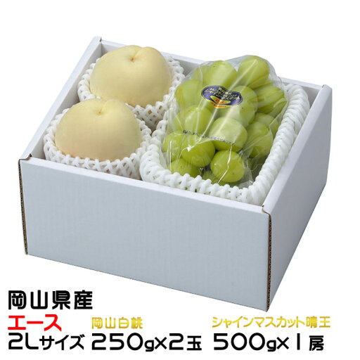 お中元 桃 ぶどう 詰め合わせ エース 2Lサイズ 岡山白桃 250g×2玉 シャインマスカット晴王 500g×1房 岡山県産 セット プレゼント お中元 桃 ぶどう 詰め合わせ エース 2Lサイズ 岡山白桃 250g×2玉 シャインマスカット晴王 500g×1房 岡山県産 セット プレゼント