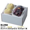 お中元 桃 ぶどう 詰め合わせ キング 2Lサイズ 岡山白桃 250g×2玉 ニューピオーネ 500g×1房 岡山県産 セット プレゼント
