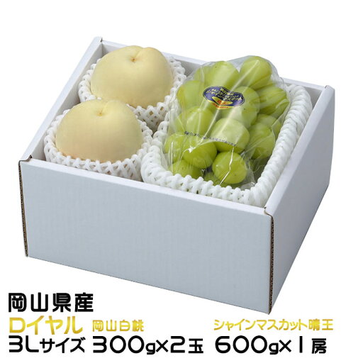 お中元 桃 ぶどう 詰め合わせ ロイヤル 3Lサイズ 岡山白桃 300g×2玉 シャインマスカット晴王 600g×1房 岡山県産 セット プレゼント お中元 桃 ぶどう 詰め合わせ ロイヤル 3Lサイズ 岡山白桃 300g×2玉 シャインマスカット晴王 600g×1房 岡山県産 セット プレゼント