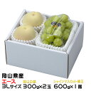 お中元 桃 ぶどう 詰め合わせ エース 3Lサイズ 岡山白桃 300g×2玉 シャインマスカット晴王 600g×1房 岡山県産 セット プレゼント