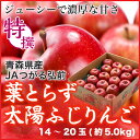 葉とらず太陽ふじりんご 青森県産 JAつがる弘前 糖度13...