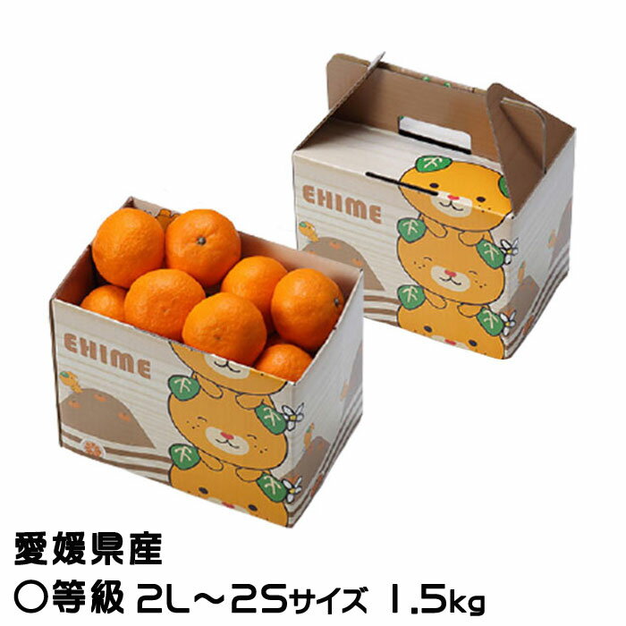 お歳暮 みかん はれひめ 〇等級 2L～2Sサイズ 1.5kg みきゃん箱入り 愛媛県産 JAえひめ中央 中島選果場 ミカン 蜜柑