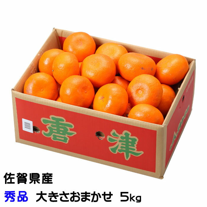 清美オレンジとアンコールみかんを掛け合わせ、マーコットオレンジを配合させて出来た品種です。 つやつやで濃いオレンジ色が特徴の「はまさき」は、果汁が口の中にあふれて、口いっぱいに広がる爽やかな甘さを感じます。 果物 フルーツ 旬 ギフト 贈り物 お礼 内祝 御供 ギフト プチギフト 特産品 お取り寄せ 人気 セット 売れ筋 名物商品 家庭用 贈答用 甘い