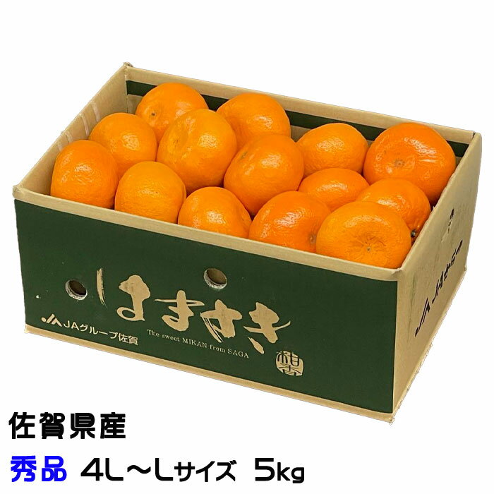 みかん はまさき 秀品 4L〜Lサイズ 5kg 佐賀県産 JAからつ ギフト