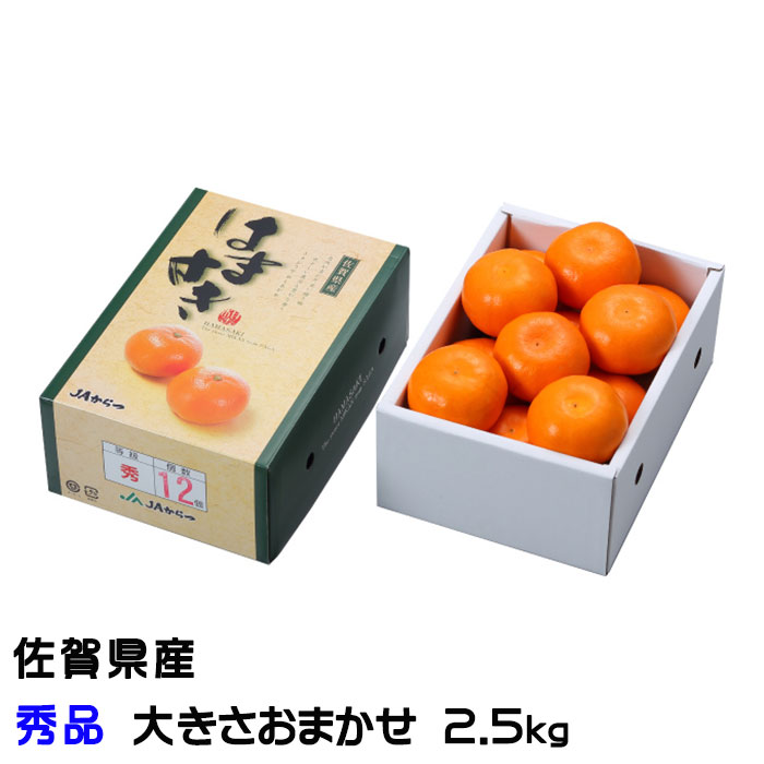 みかん みかん はまさき 秀品 大きさおまかせ 2.5kg 佐賀県産 JAからつ ギフト