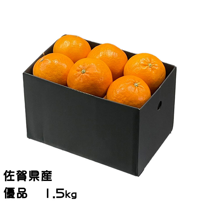 みかん はまさき 優品 1.5kg 佐賀県産 JAからつ ギフト