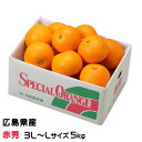 紅八朔 べにはっさく 赤秀 3L〜Lサイズ 12〜18玉 5kg 広島県産 JA尾道市 因島選果場 ハッサク みかん