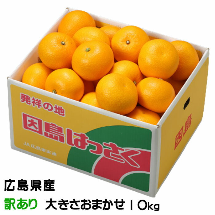 八朔 はっさく 訳あり 大きさおまかせ 10kg 広島県産 ハッサク みかん ミカン