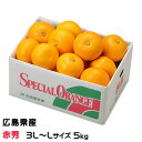 八朔 はっさく 赤秀 3L～L 13～18玉 5kg 広島県産 JA尾道市 因島選果場 ハッサク みかん ミカン