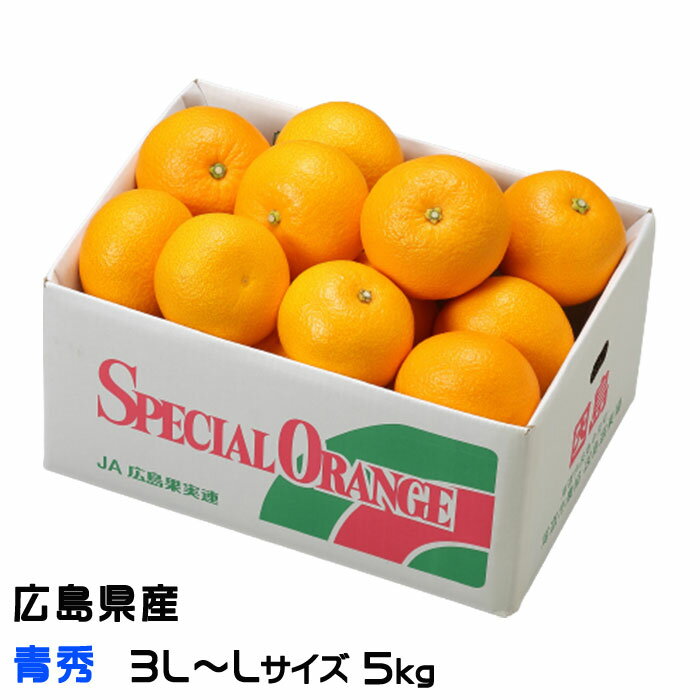 みかん 八朔 はっさく 青秀 3L～L 13～18玉 5kg 広島県産 JA尾道市 因島選果場 ハッサク みかん ミカン